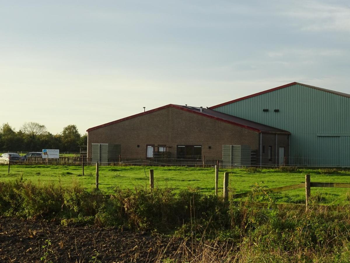 Kustverhuur, Oude Manege Nieuwvliet, Nieuwvliet 3 - 9 Ngoại thất bức ảnh